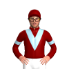 Jockey Silk