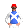 Jockey Silk