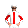 Jockey Silk