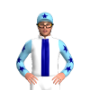 Jockey Silk