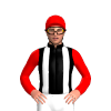 Jockey Silk