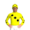 Jockey Silk