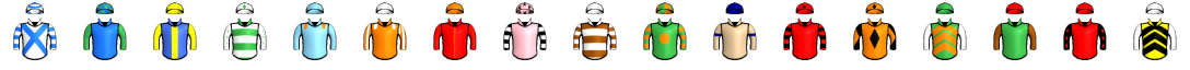 Runner silk