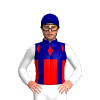 Jockey Silk