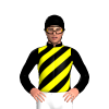 Jockey Silk