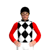 Jockey Silk