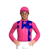 Jockey Silk