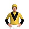 Jockey Silk