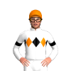 Jockey Silk