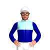 Jockey Silk