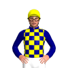 Jockey Silk