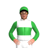 Jockey Silk