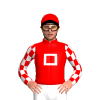 Jockey Silk