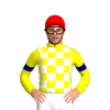 Jockey Silk