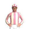 Jockey Silk