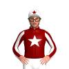 Jockey Silk