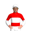 Jockey Silk