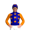 Jockey Silk