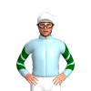 Jockey Silk