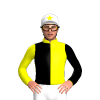 Jockey Silk