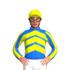 Jockey Silk