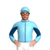 Jockey Silk