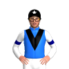 Jockey Silk
