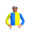 Jockey Silk