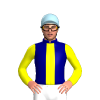 Jockey Silk