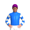 Jockey Silk
