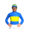 Jockey Silk