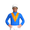 Jockey Silk