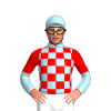 Jockey Silk
