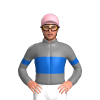 Jockey Silk