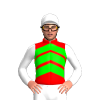 Jockey Silk