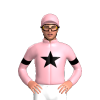 Jockey Silk