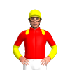Jockey Silk