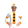 Jockey Silk