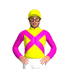 Jockey Silk