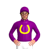 Jockey Silk