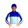 Jockey Silk