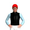 Jockey Silk