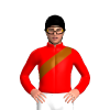Jockey Silk