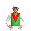 Jockey Silk