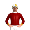 Jockey Silk