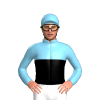Jockey Silk