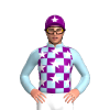 Jockey Silk