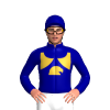 Jockey Silk
