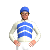 Jockey Silk
