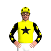 Jockey Silk